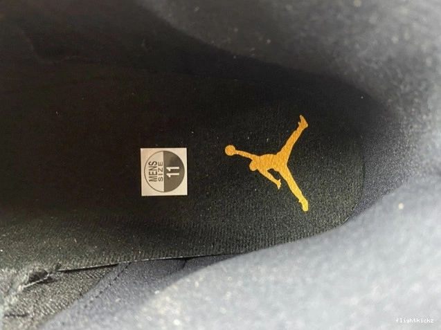 CT8013-071 Black 12 Jordan Taxi Air 0913